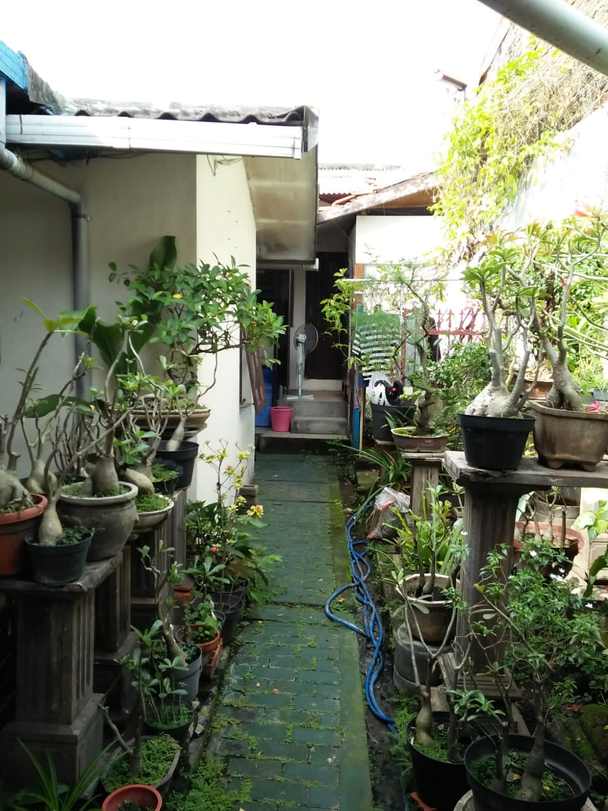 Foto Kost
